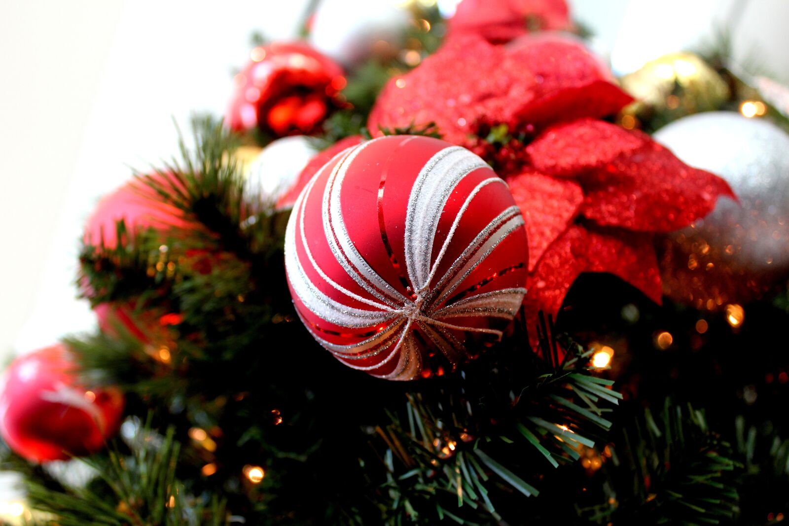 Canon EOS 1200D (EOS Rebel T5 / EOS Kiss X70 / EOS Hi) sample photo. Seasonal, christmas, decoration photography