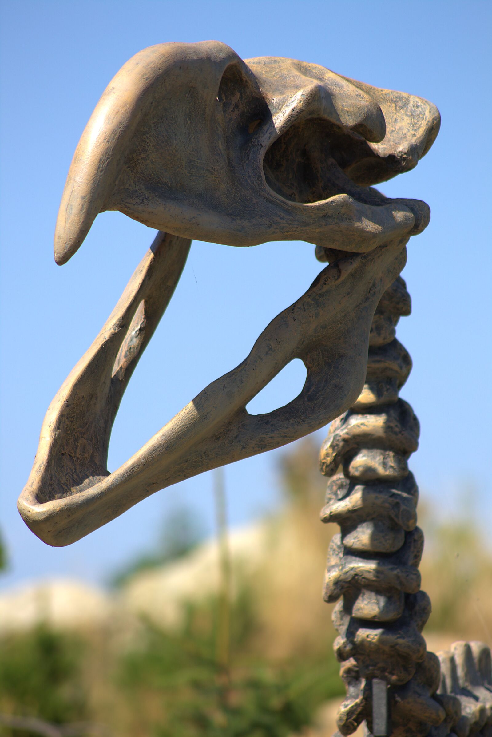 Canon EOS 700D (EOS Rebel T5i / EOS Kiss X7i) sample photo. Skeleton, dinosaur, fossil photography