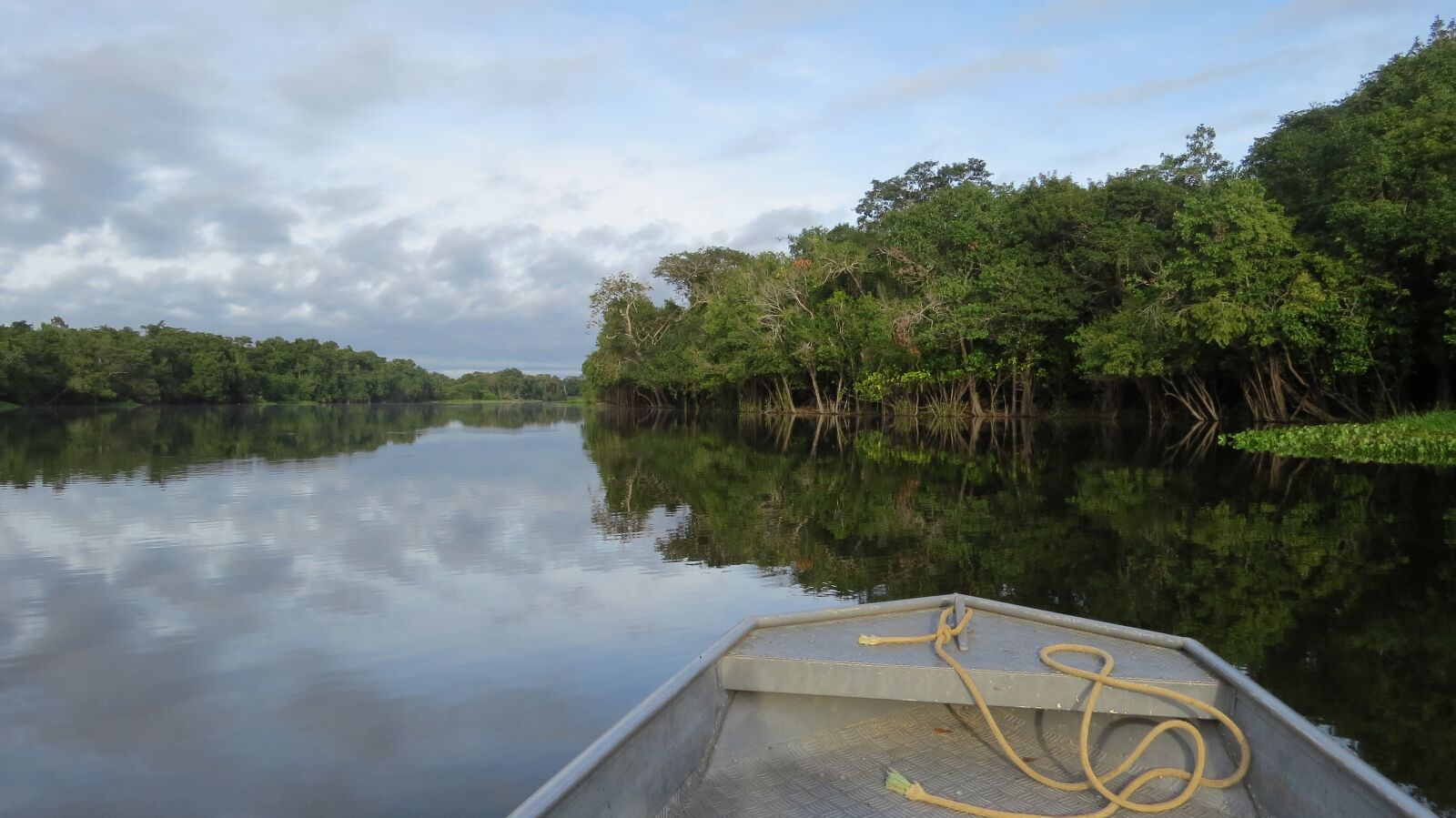 Canon PowerShot SX50 HS sample photo. Rio, guaporé, amazon photography