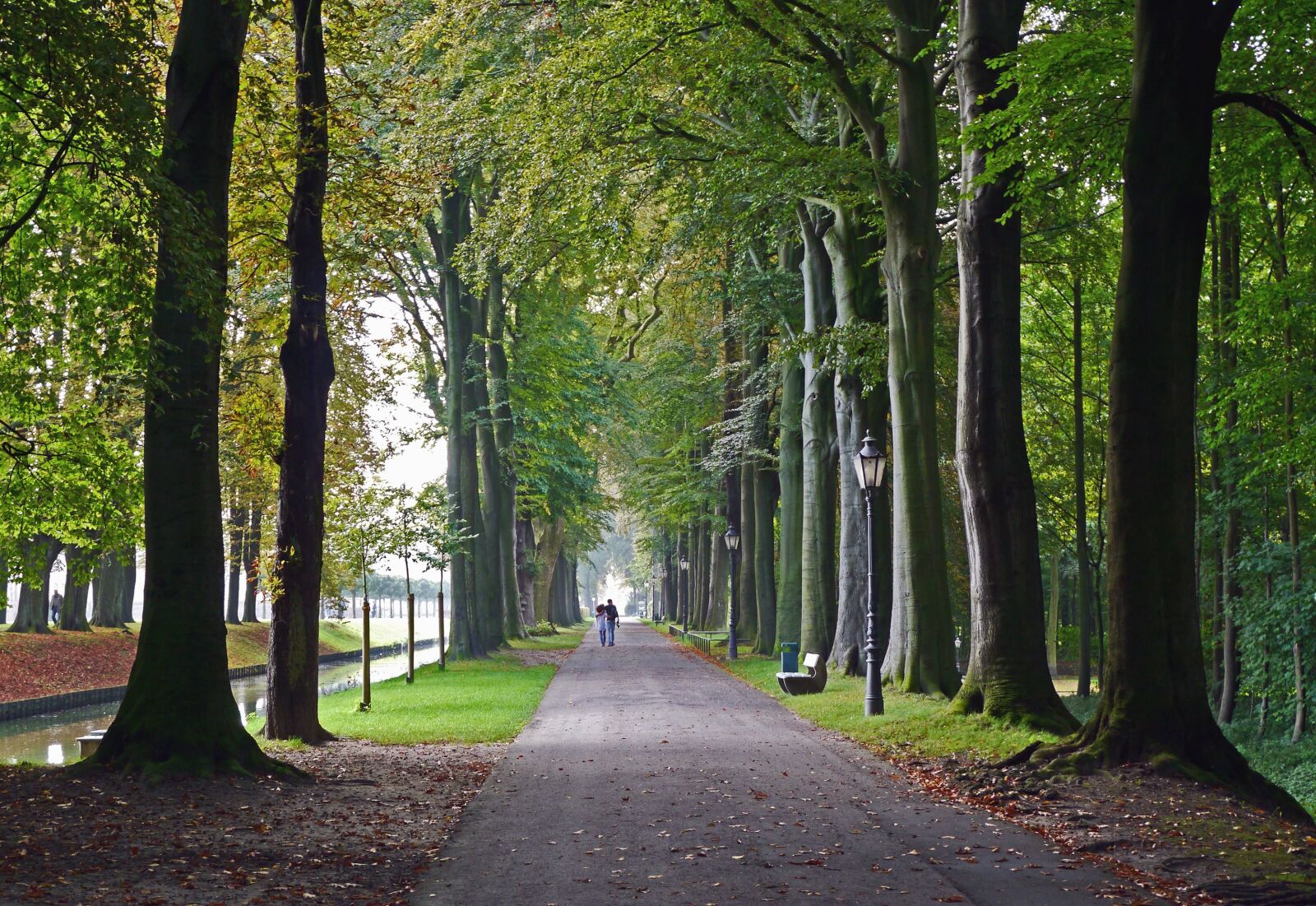 Panasonic Lumix DMC-GX1 sample photo. Road, tree, park, canal photography