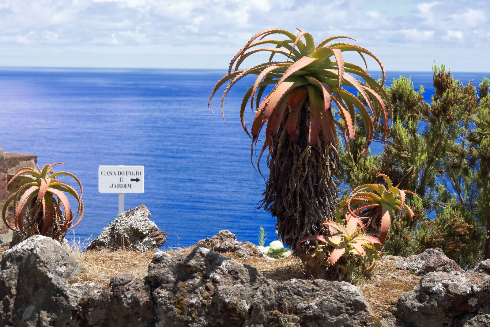 Canon EOS 750D (EOS Rebel T6i / EOS Kiss X8i) sample photo. Comanche, azores, s o photography