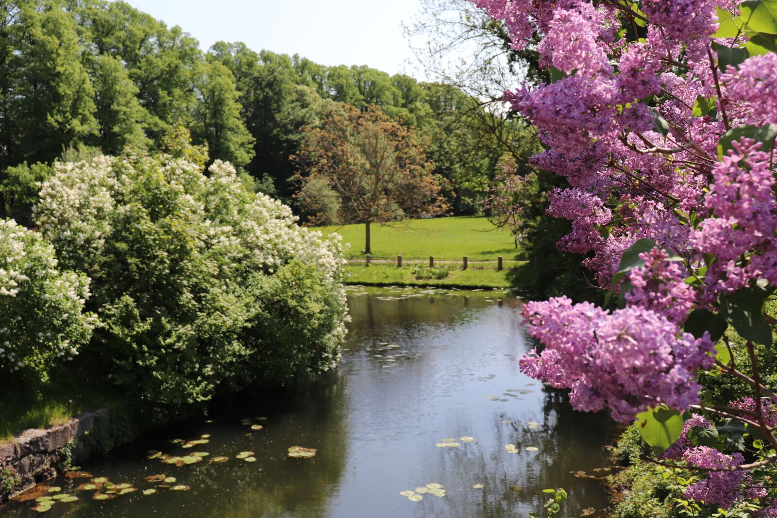 Canon EOS 77D (EOS 9000D / EOS 770D) sample photo. River, nature, flowers photography