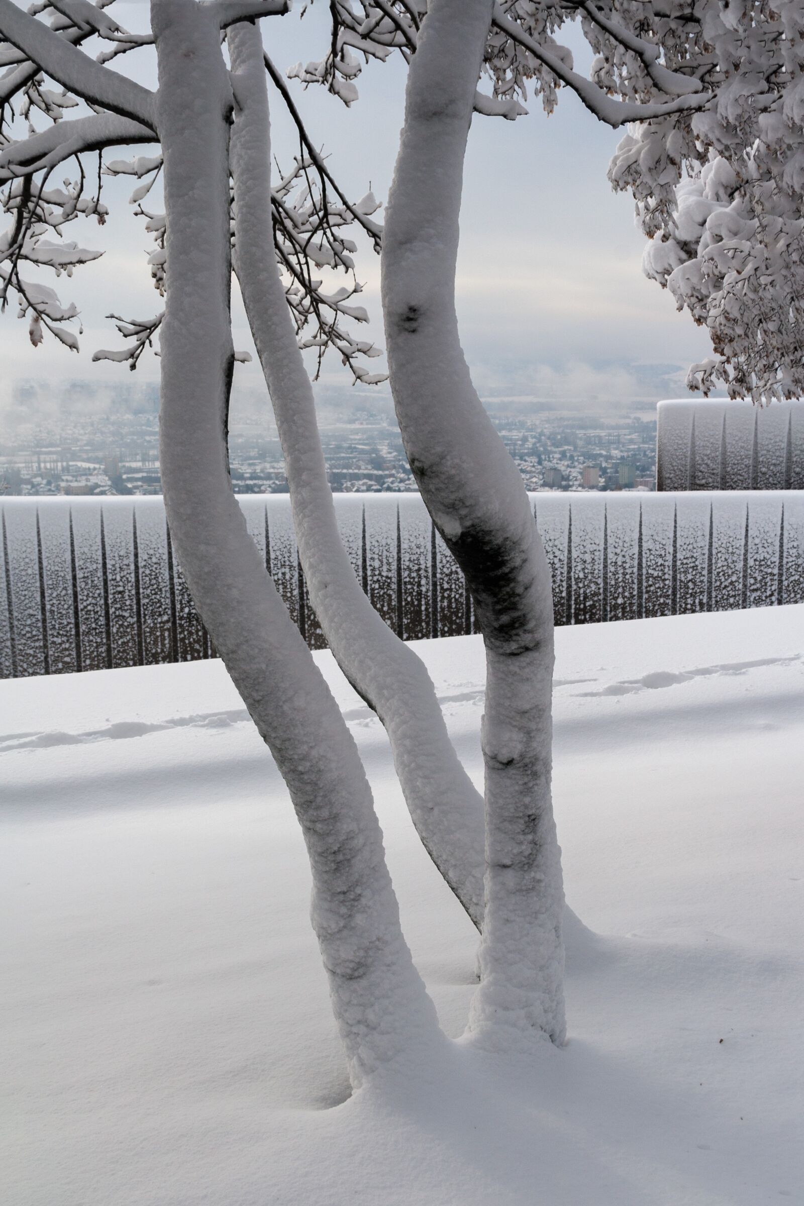 Canon EOS 30D sample photo. Winter, cold, white photography