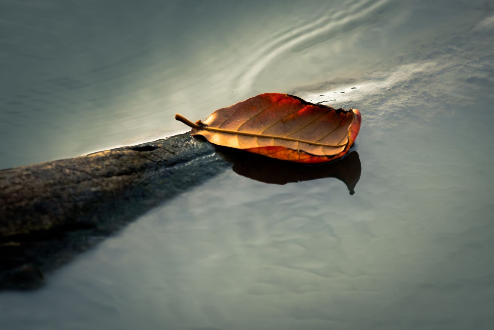 Canon EOS 80D sample photo. Water, nature, outdoors photography