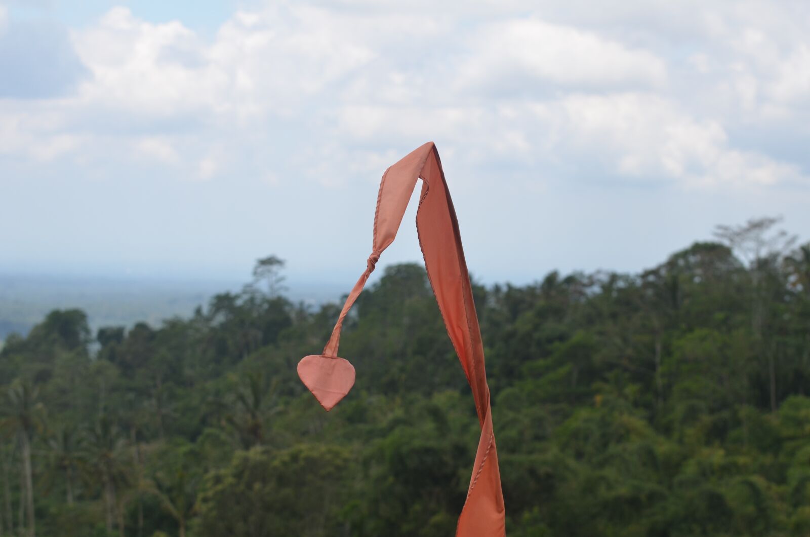 Nikon D7000 sample photo. Flag, love, bali photography