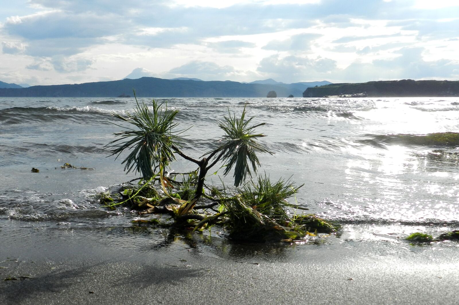 Nikon Coolpix P500 sample photo. Kamchatka, avacha bay, bay photography