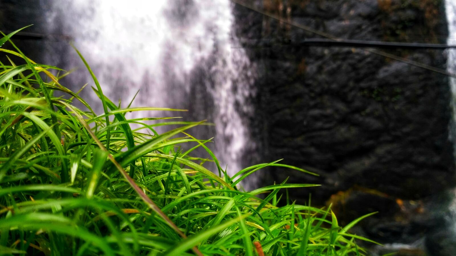 Xiaomi Redmi 3S sample photo. Grass, waterfalls, nature photography