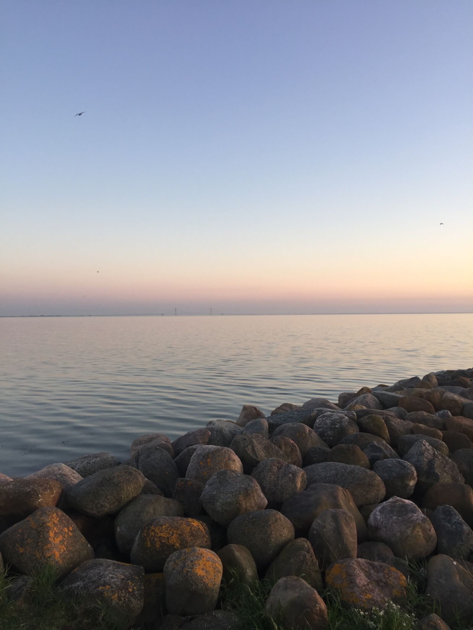 Apple iPhone 6 sample photo. Water, sunlight, natural photography