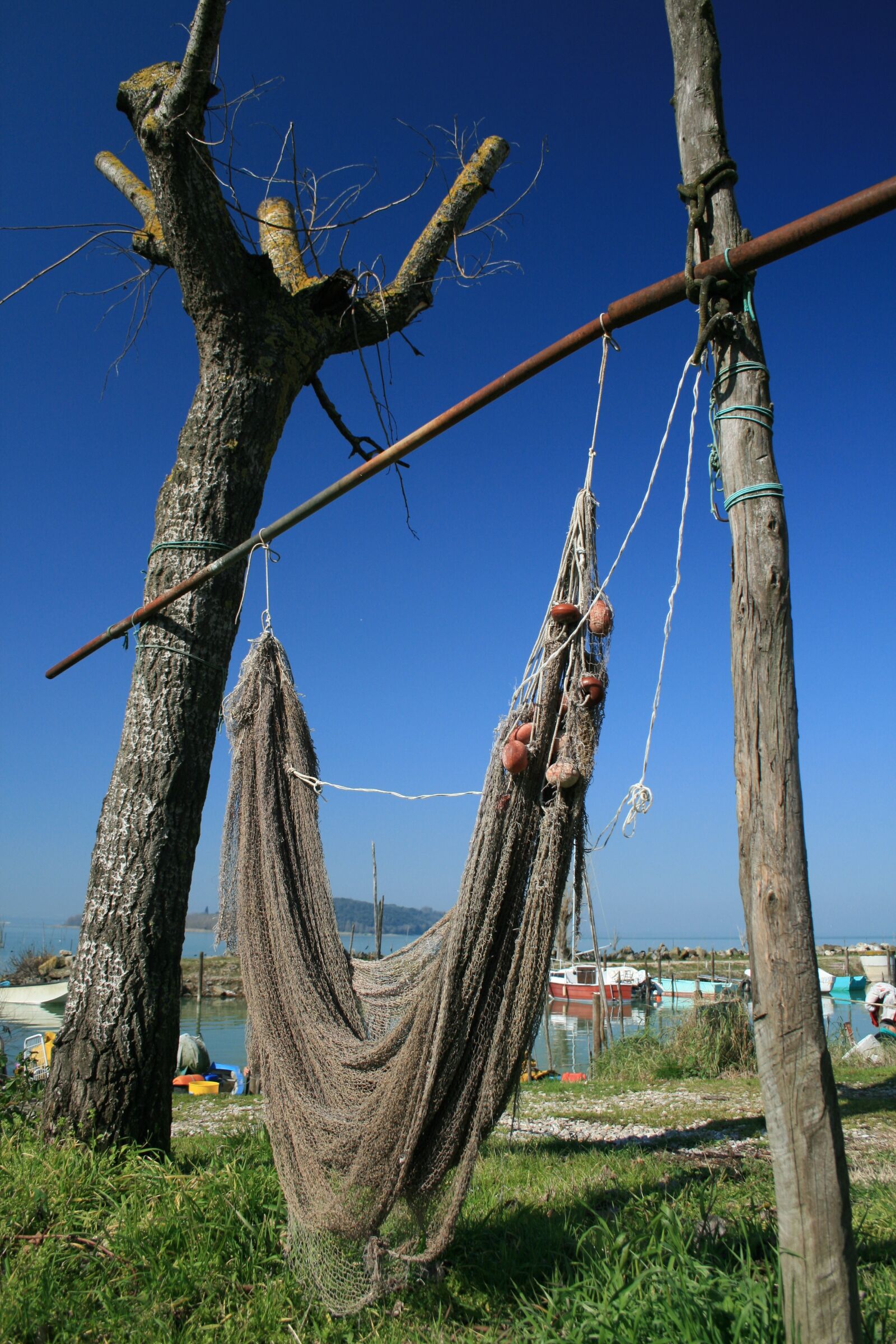 Canon EOS 400D (EOS Digital Rebel XTi / EOS Kiss Digital X) sample photo. Network, fishing, tree photography