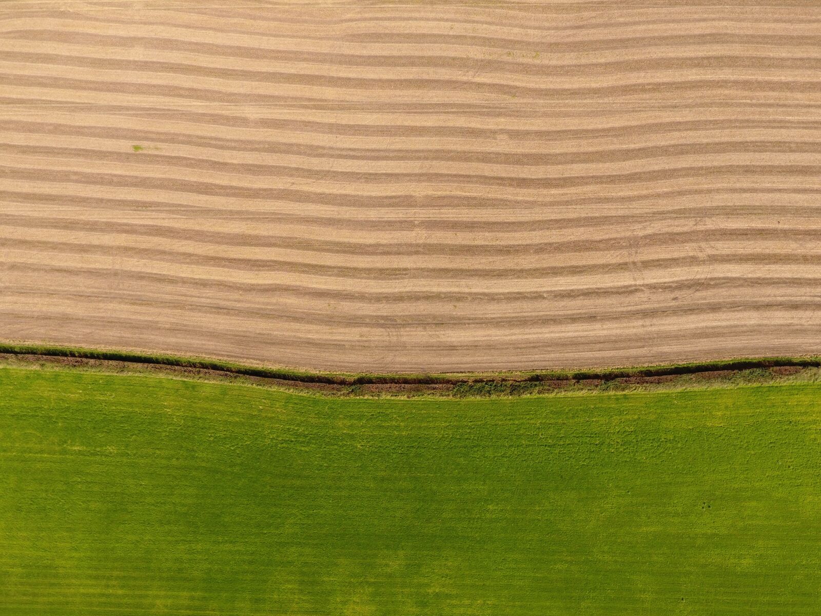 DJI FC330 sample photo. Field, aerial, landscape photography