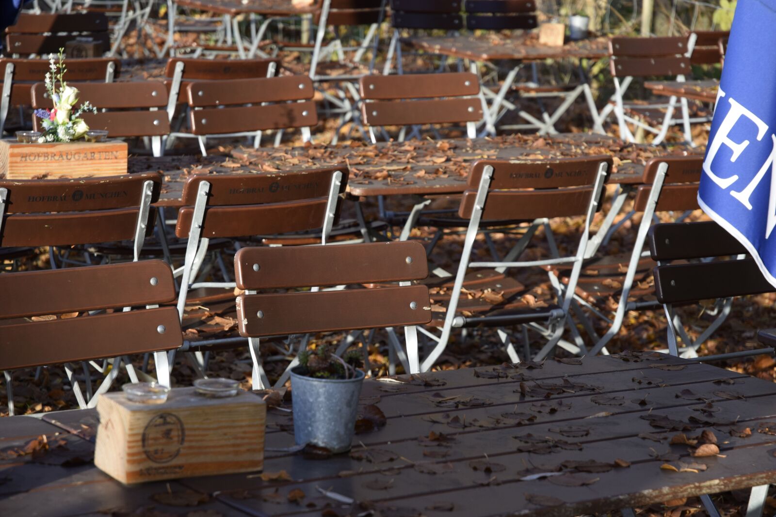 Nikon D5300 sample photo. Beer garden, autumn, leaves photography