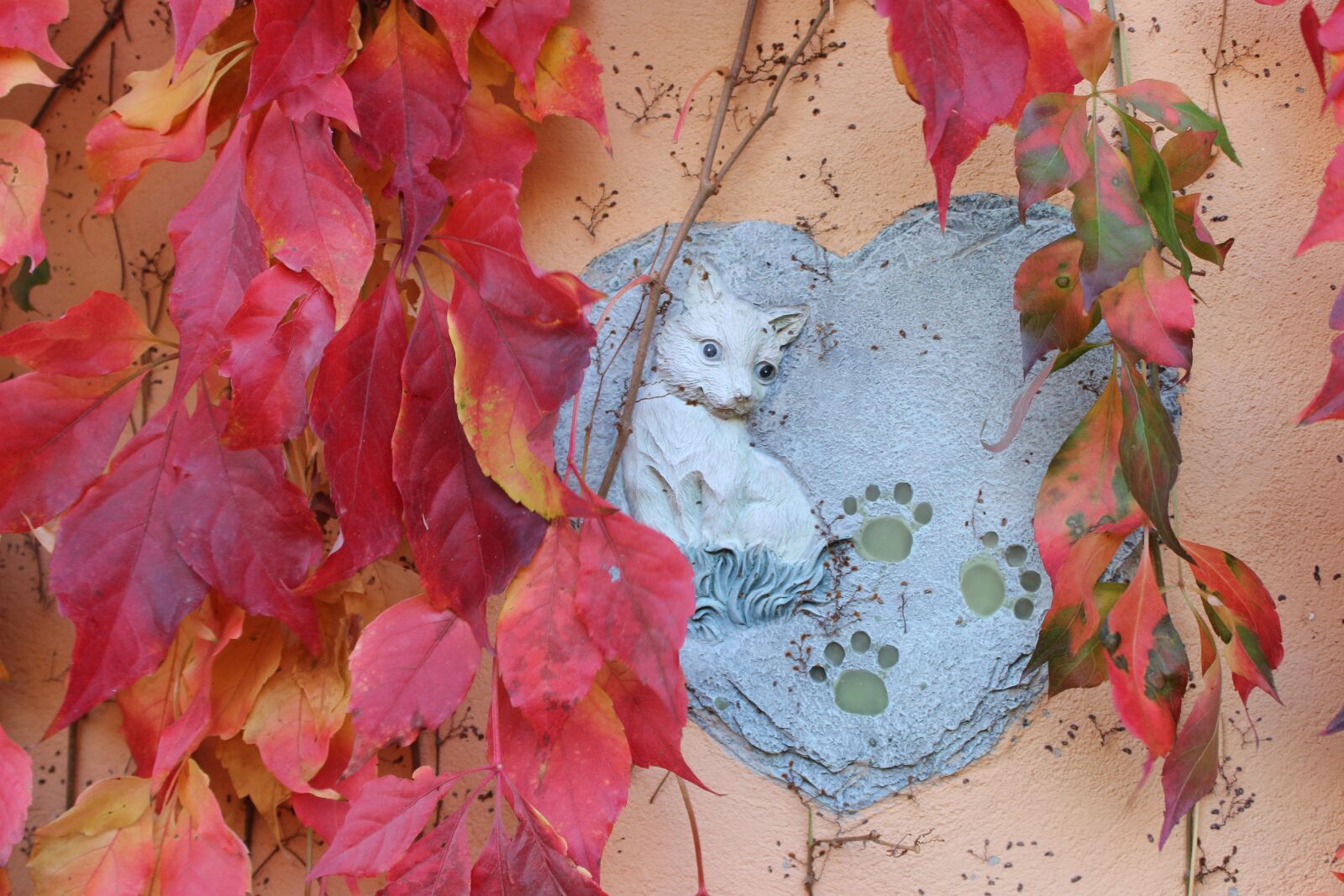Canon EOS 600D (Rebel EOS T3i / EOS Kiss X5) sample photo. Fall foliage, figure, autumn photography