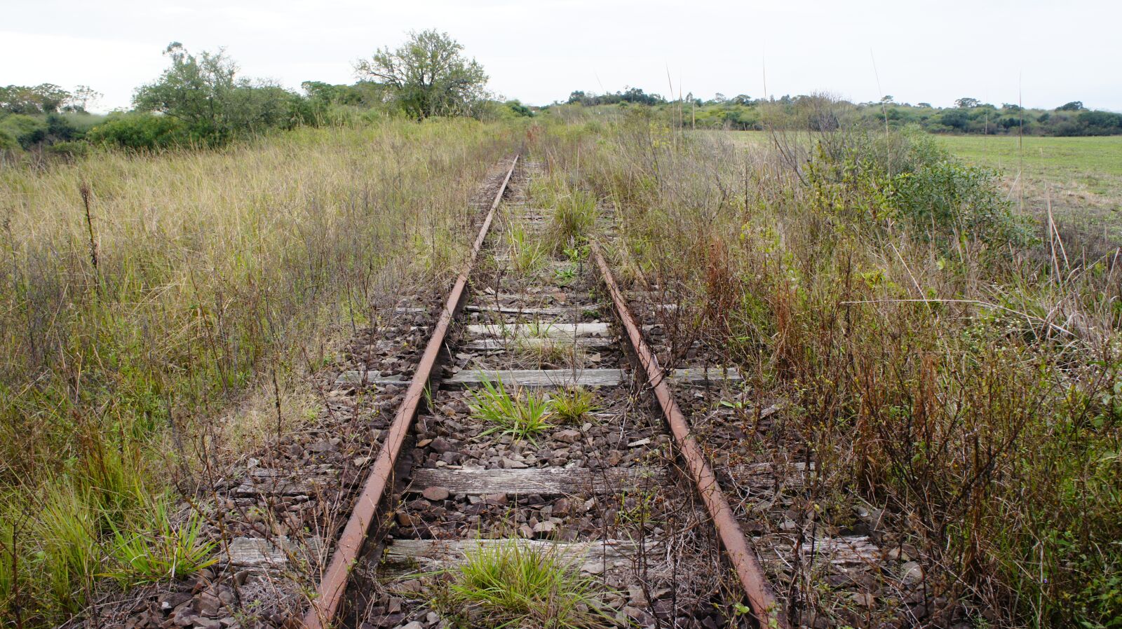 Sony Alpha NEX-3 + Sony E 18-55mm F3.5-5.6 OSS sample photo. Trail, train, abandoned photography