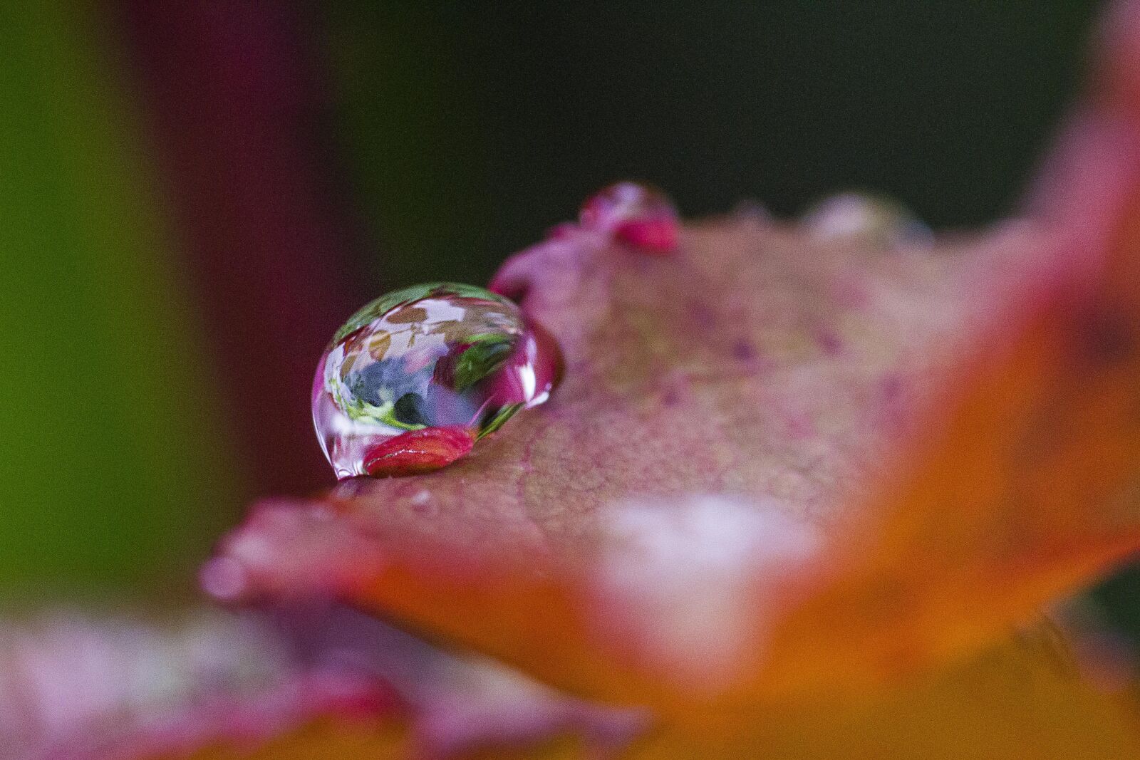 Canon EOS 7D sample photo. Nature, water, reflection photography