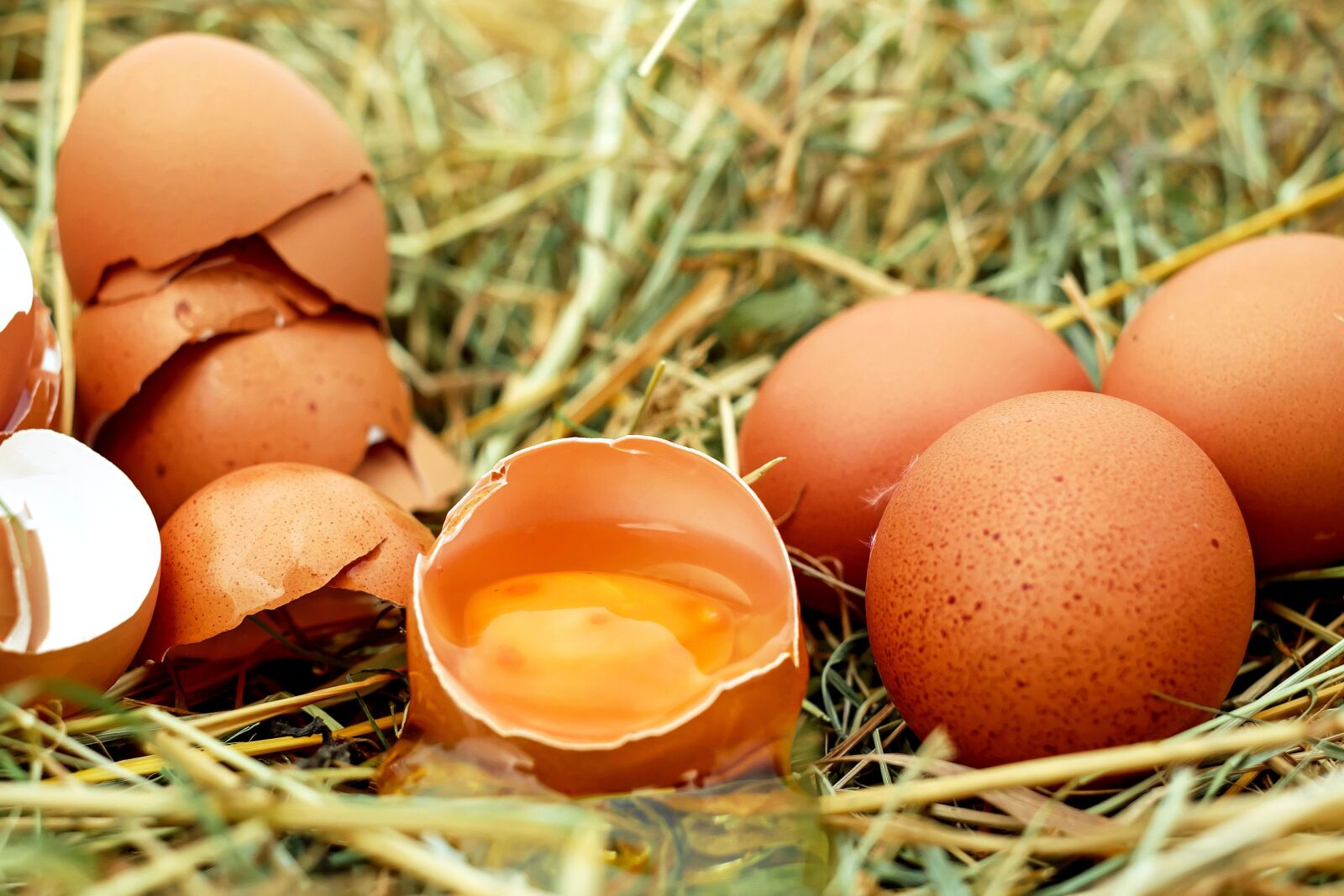 Fujifilm X-T10 + Fujifilm XF 35mm F1.4 R sample photo. Chicken eggs, cracked egg photography
