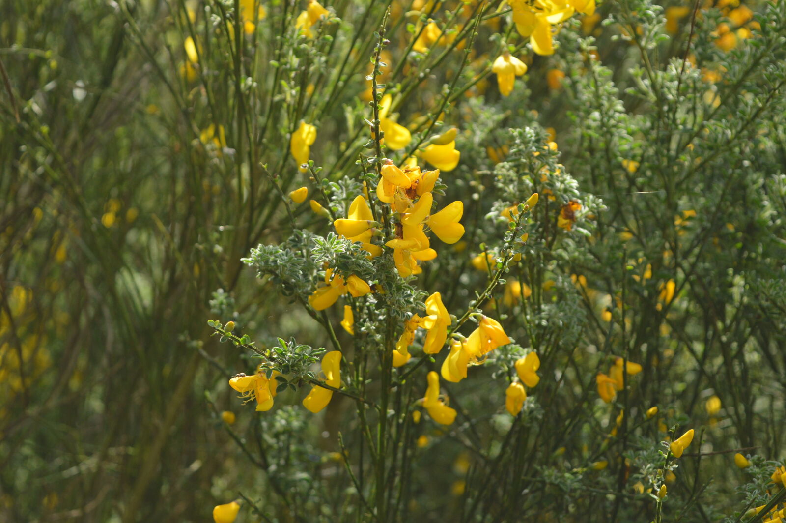 Nikon D3200 sample photo