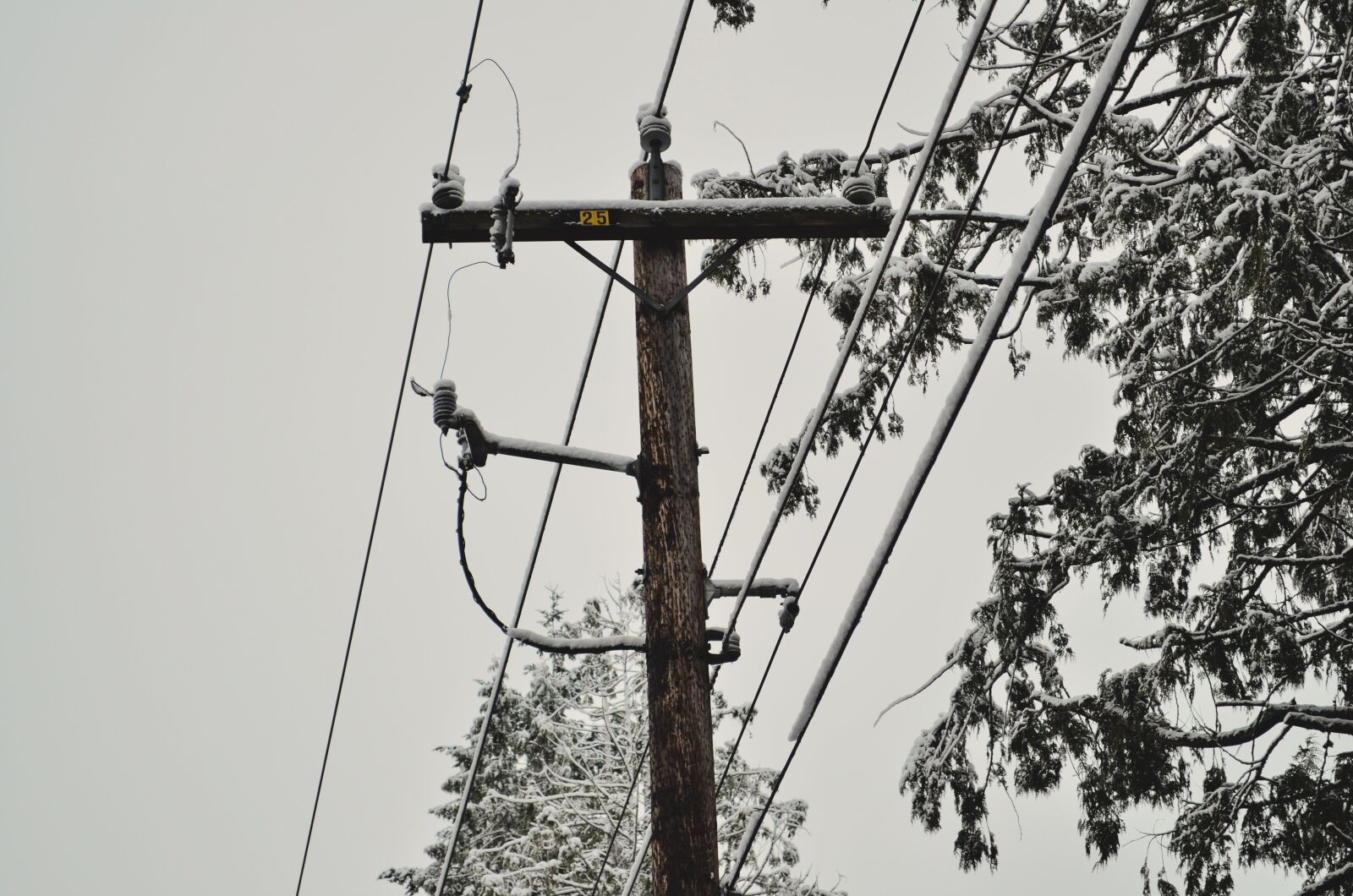 Nikon D5100 sample photo. Power lines, snow, winter photography