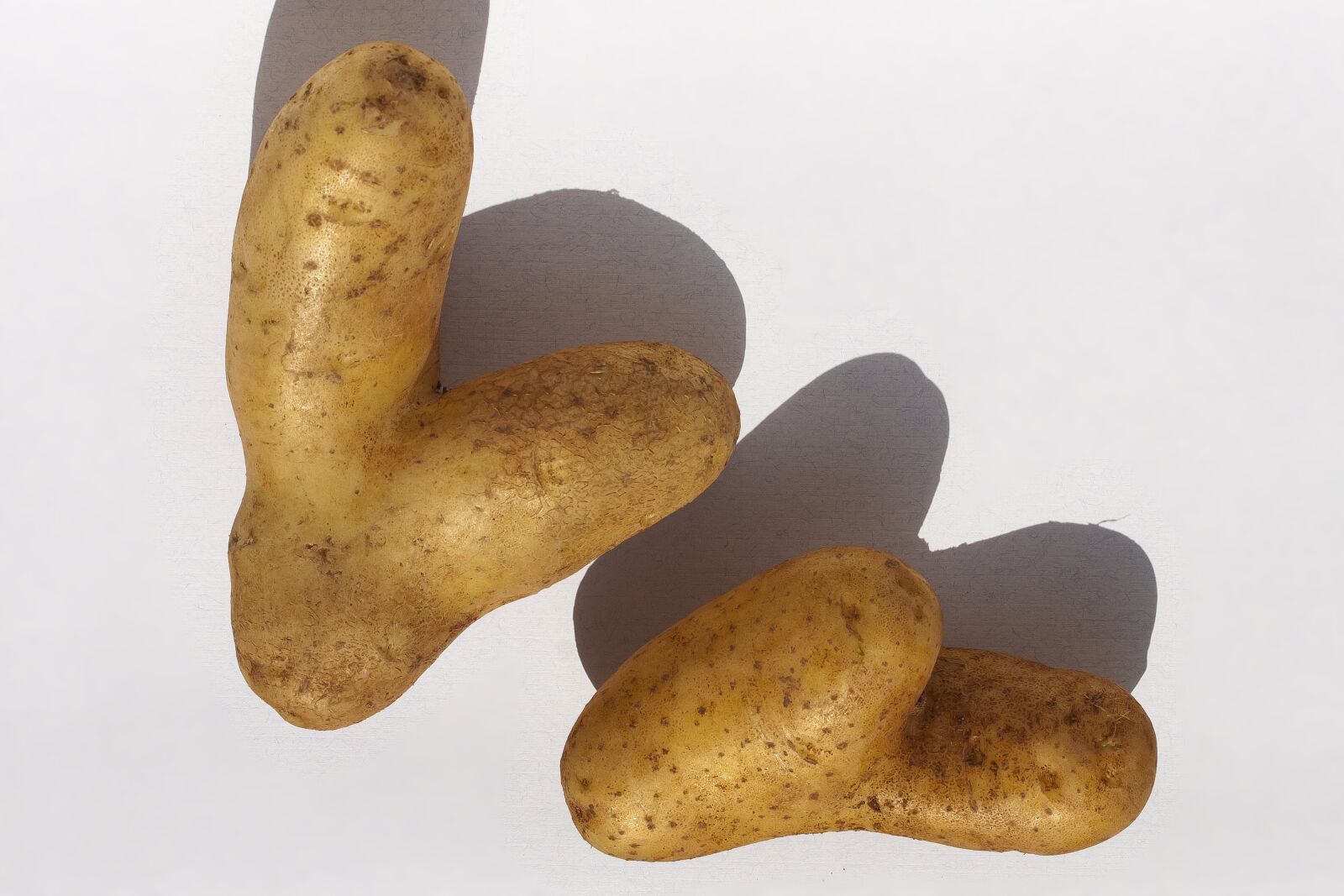 Canon EF-S 60mm F2.8 Macro USM sample photo. Potato, heart, vegetables photography