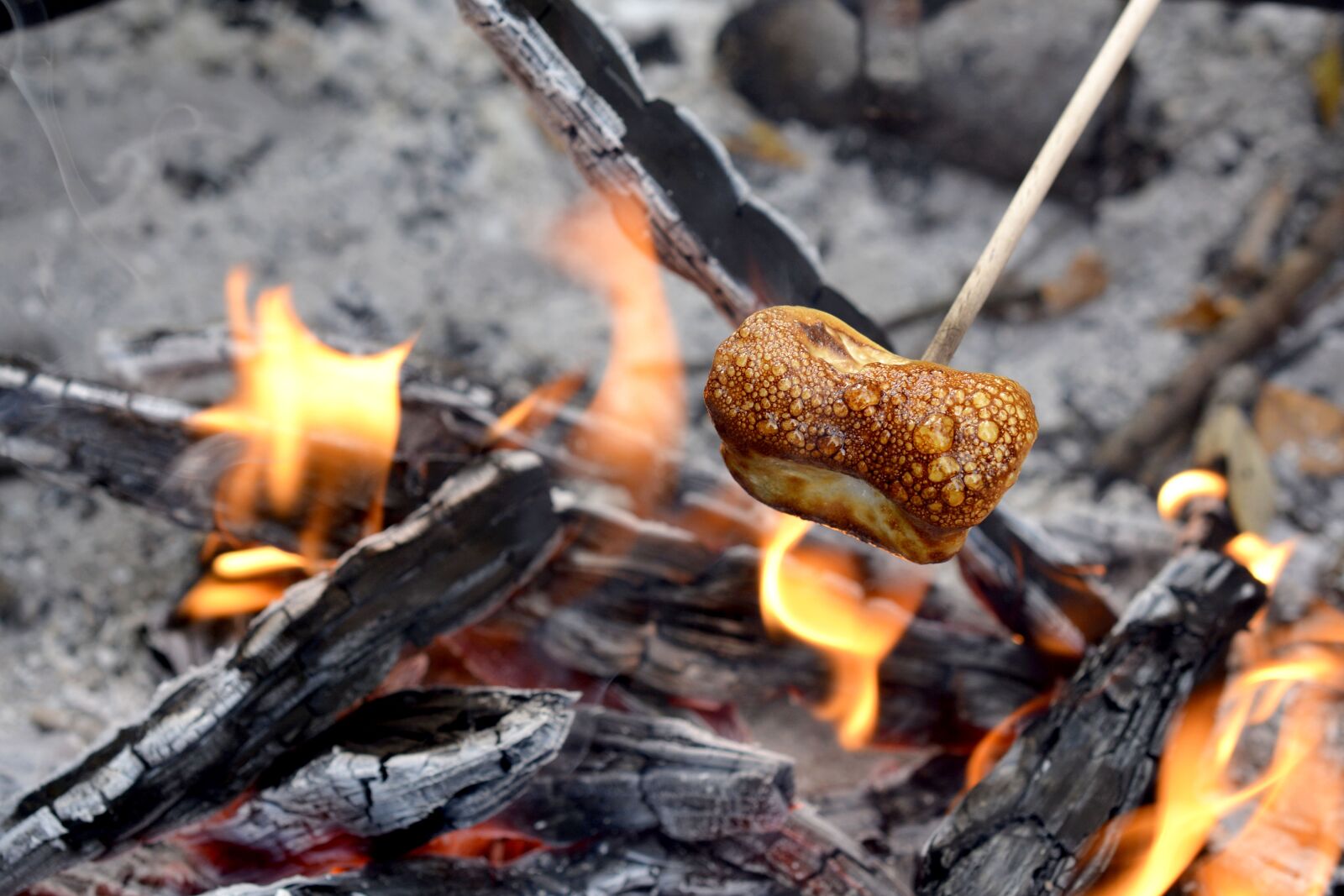 Nikon D7100 sample photo. Fire, marshmallow, eat photography