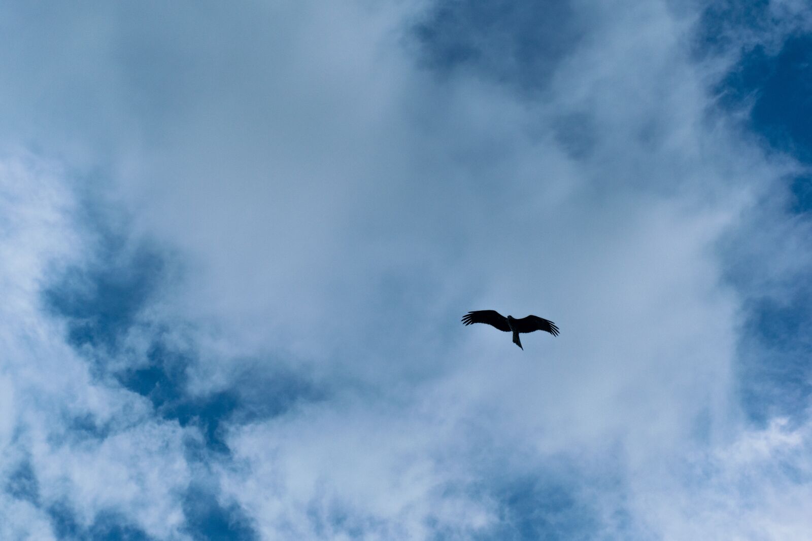 Nikon D5300 sample photo. Blue sky, clouds, weather photography