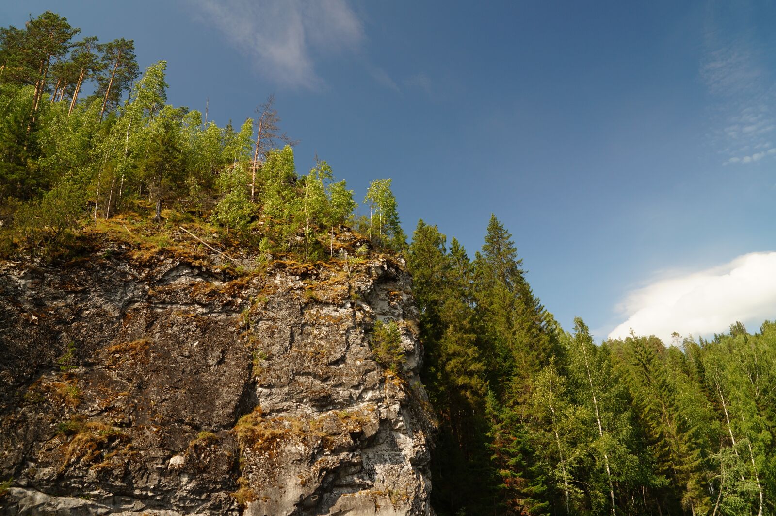 Sony SLT-A57 sample photo. Landscape, cliff, trees photography