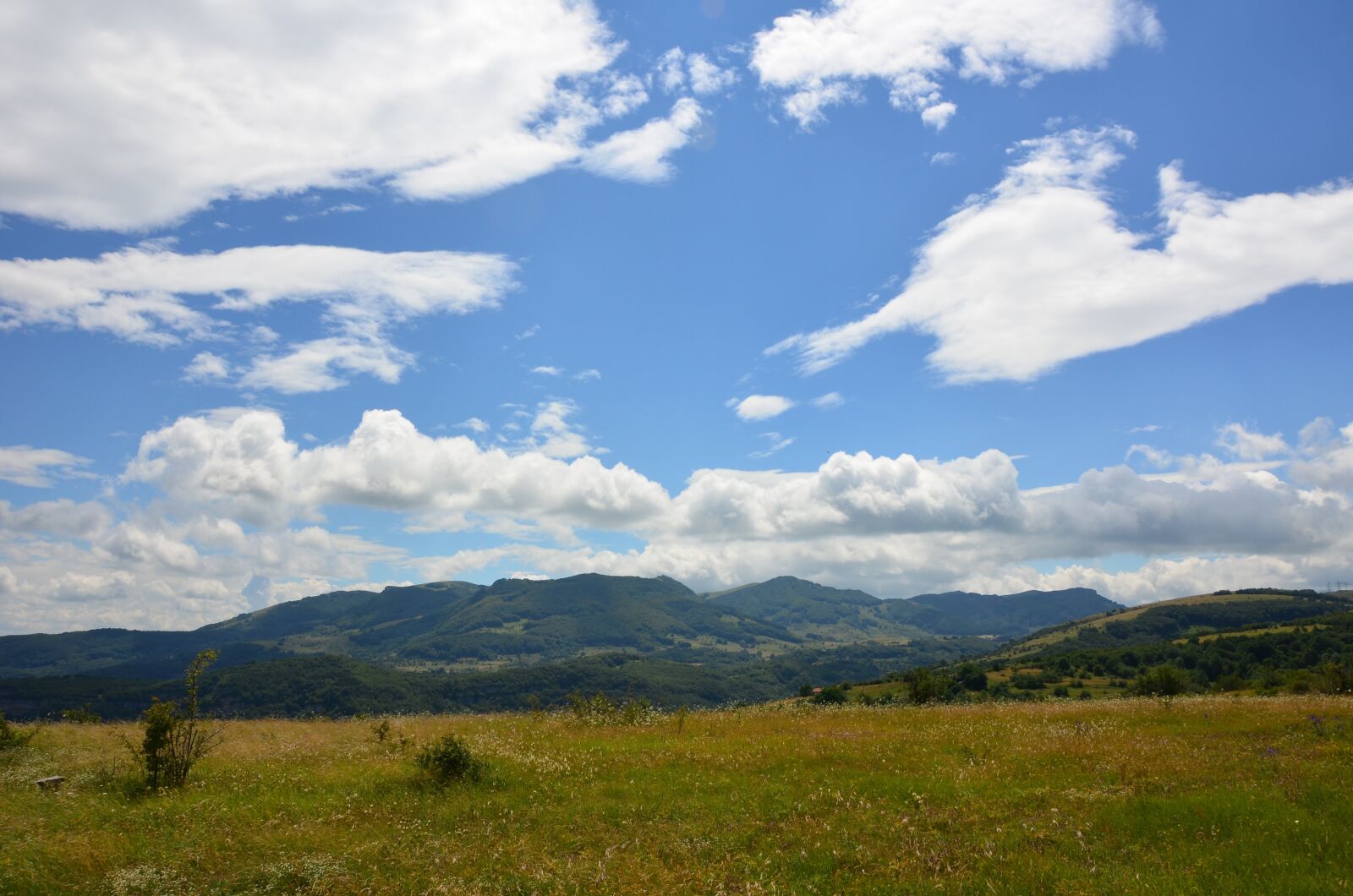 Nikon D5100 sample photo. Landscape, grass, sky photography