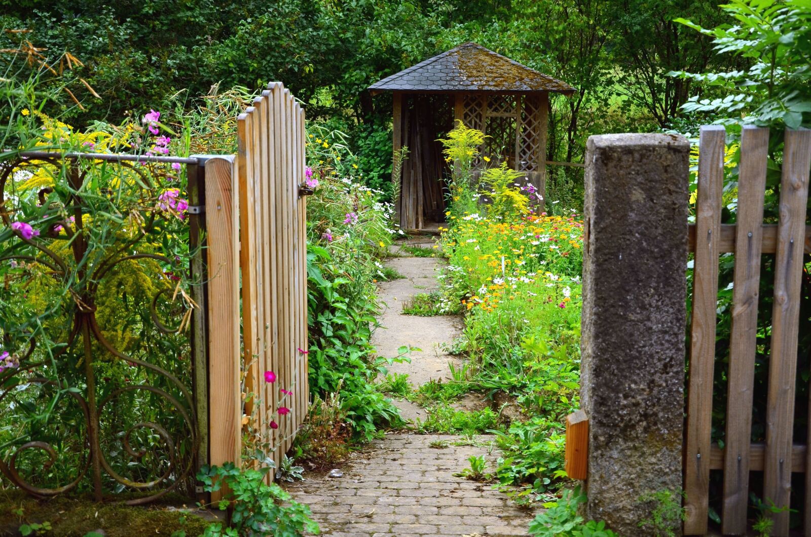 Nikon D5100 sample photo. Garden, door, metal, plant photography