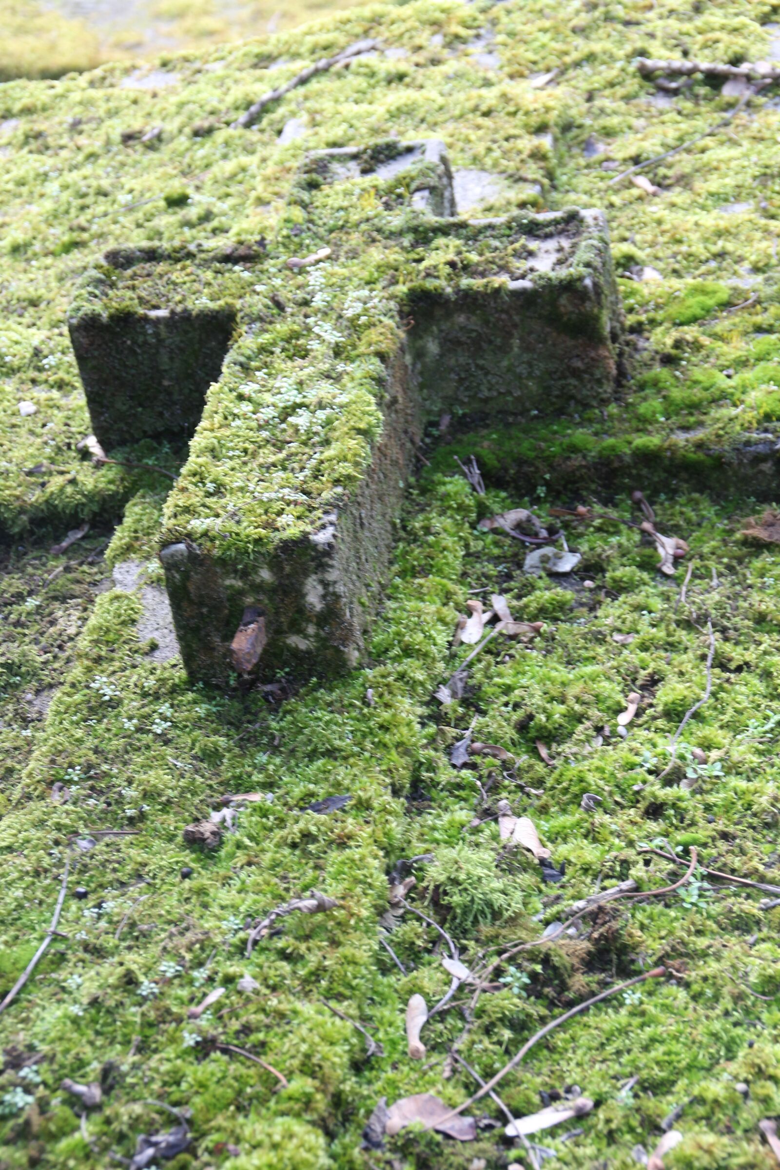 Canon EOS 1100D (EOS Rebel T3 / EOS Kiss X50) sample photo. Cross, grave, cemetery photography