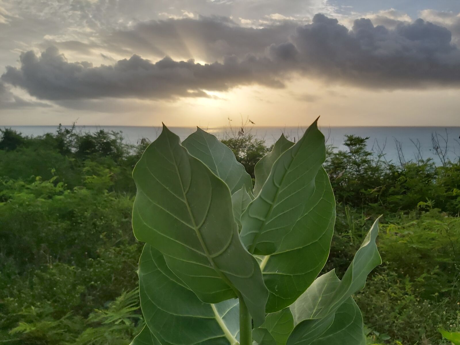 Samsung Galaxy A70 sample photo. Hermoso, relajar, paz photography