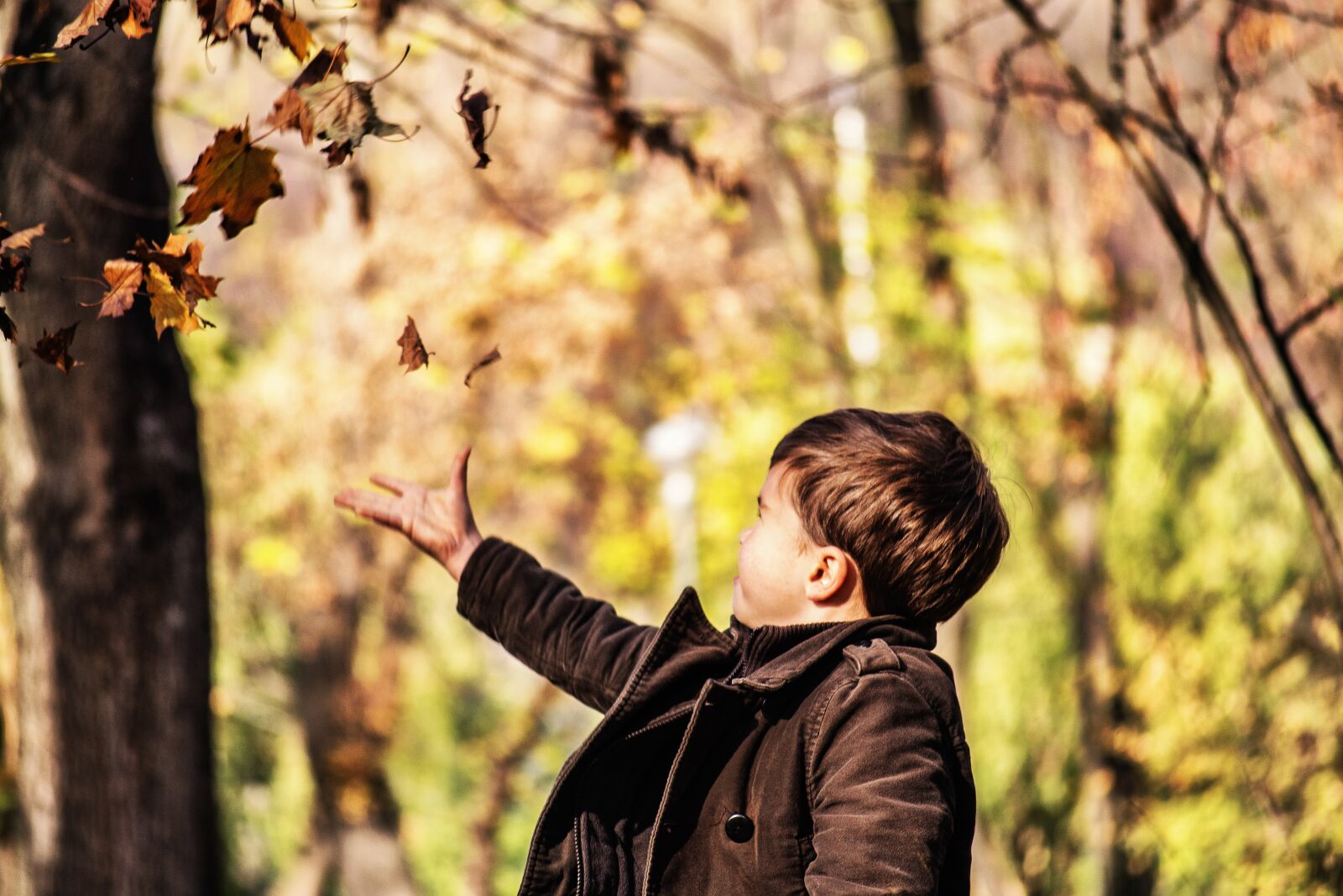 Nikon D3100 sample photo. Toddler, child, play photography