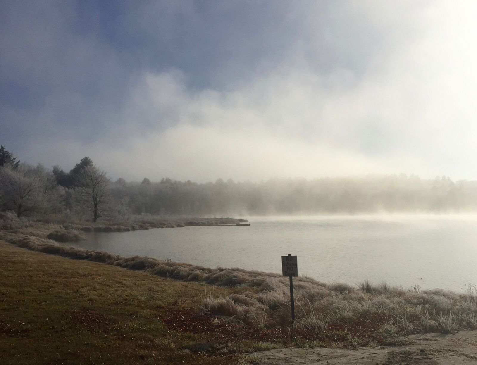 iPhone 6 Plus back camera 4.15mm f/2.2 sample photo. Lakeside photography