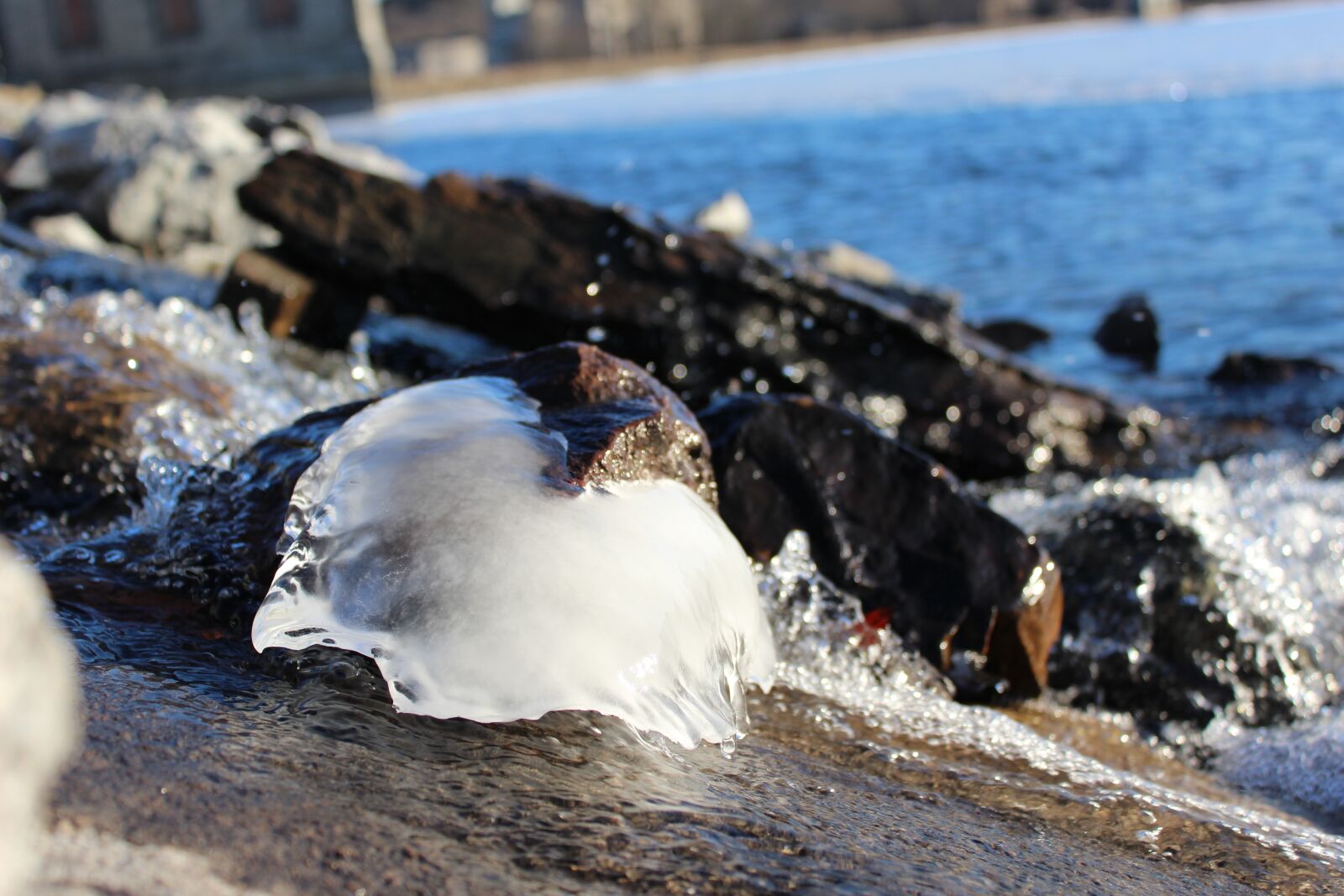 Canon EOS 1200D (EOS Rebel T5 / EOS Kiss X70 / EOS Hi) sample photo. Melting, ice, freshness photography