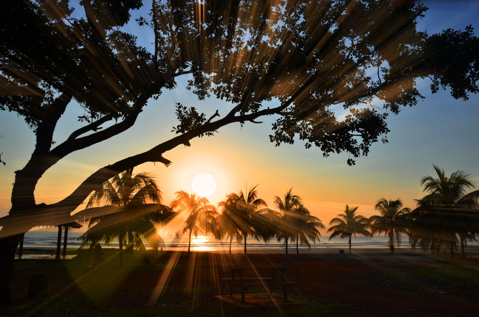 Nikon D7000 sample photo. Sunrise, ray, beach photography