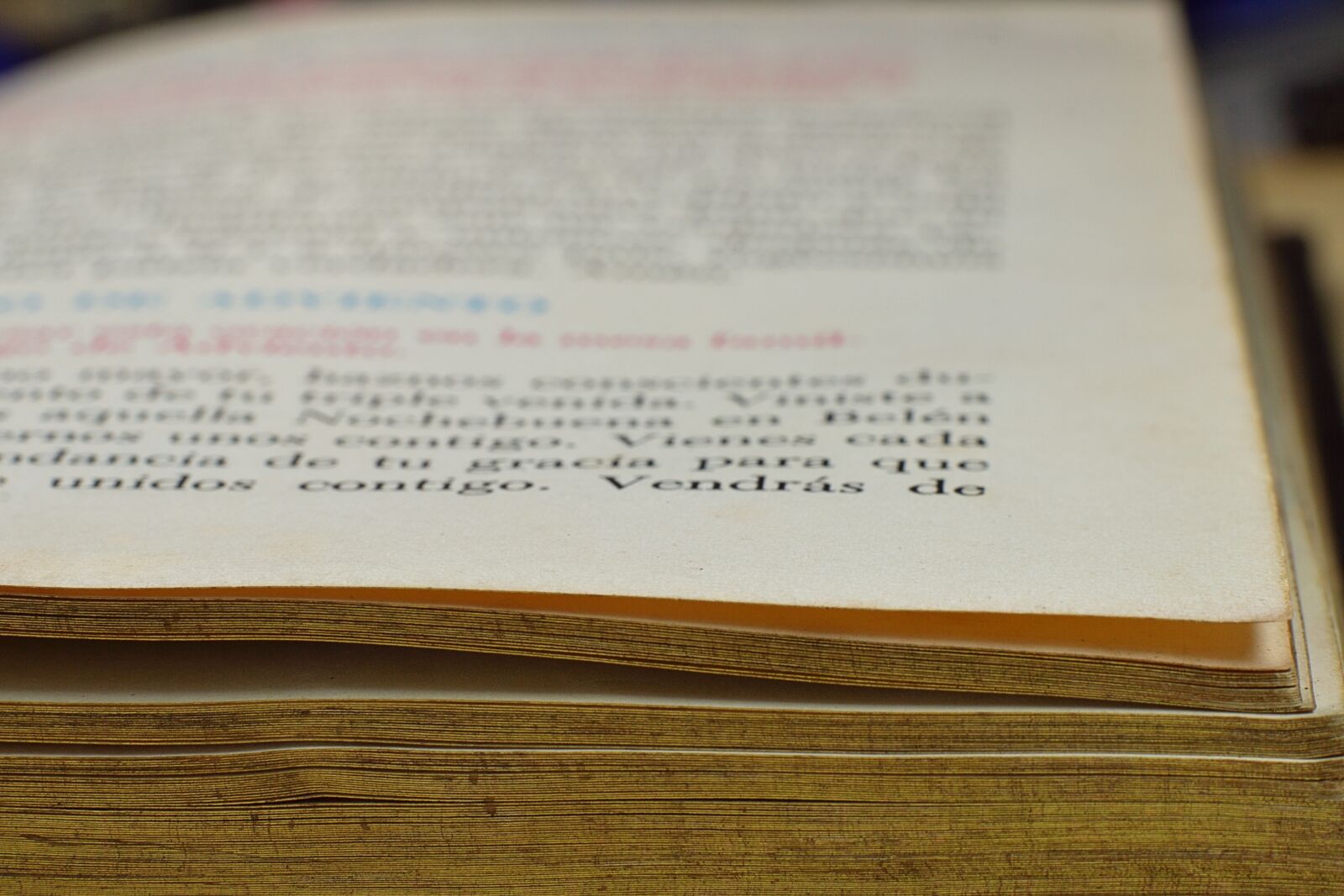 Nikon D3200 sample photo. Book, text, bible photography