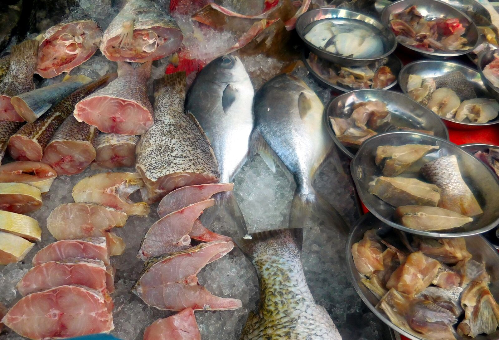 Nikon Coolpix S6900 sample photo. Fish, sea, market photography