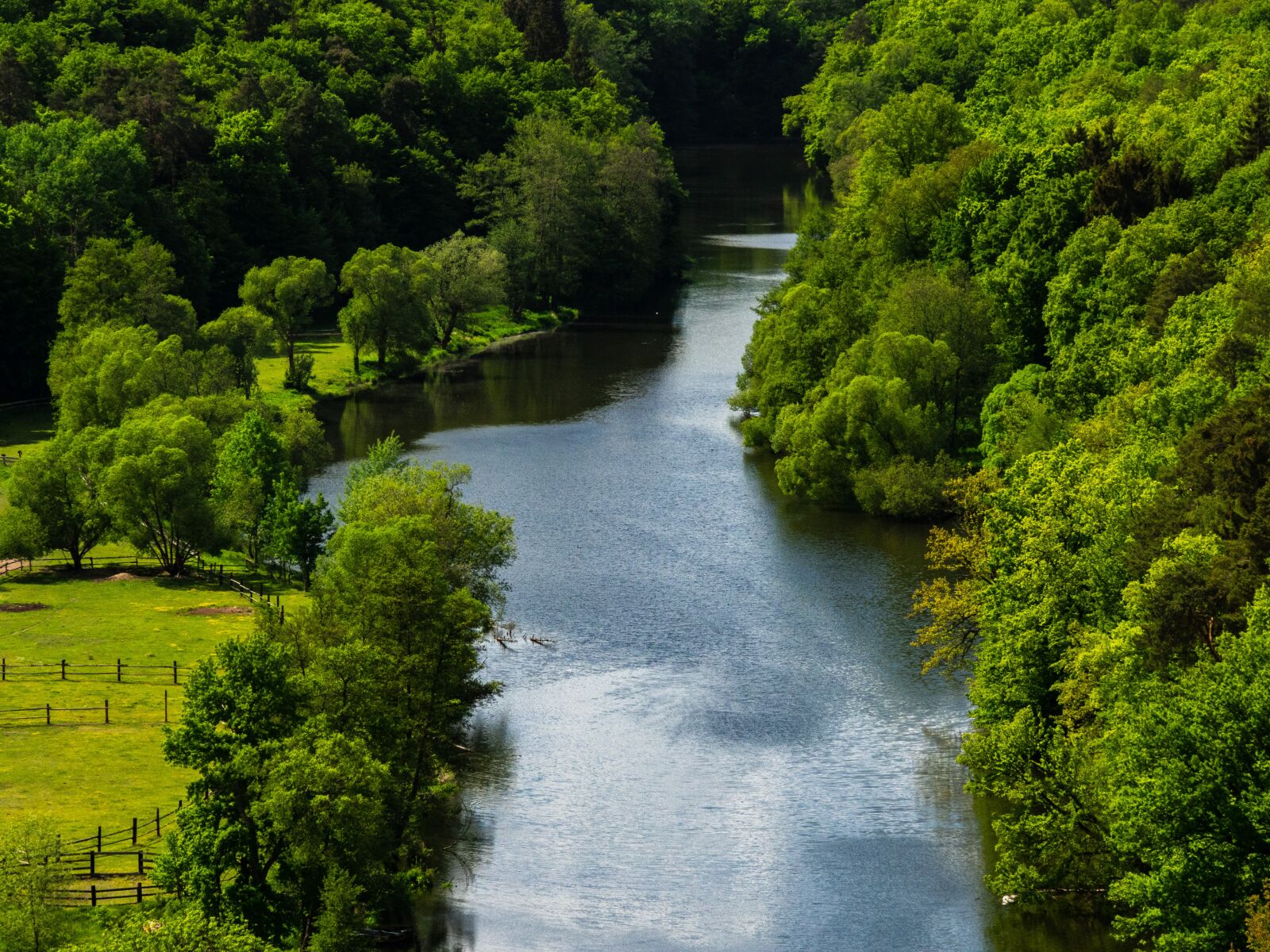 Olympus OM-D E-M10 III sample photo. Landscape, river, forest photography