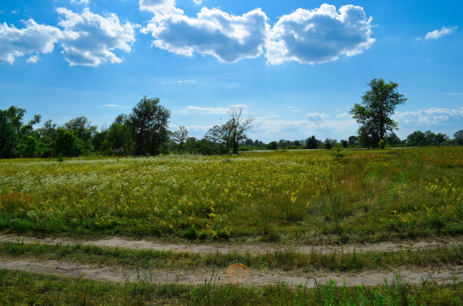 Nikon D5100 sample photo. Field, sky, landscape photography