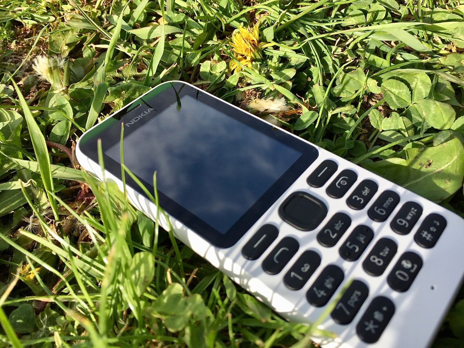 Apple iPhone 6 sample photo. Cellular, telephone, green, nature photography