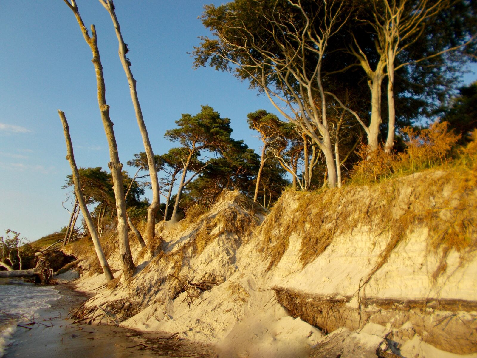 Nikon COOLPIX L29 sample photo. Beach, sea, baltic sea photography