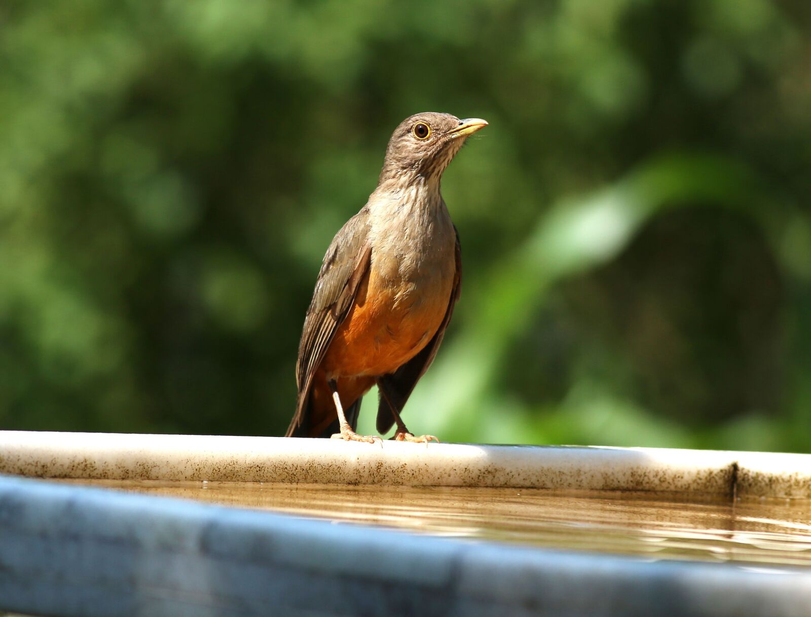 Canon EOS 5D Mark III sample photo. Know orange, in the photography
