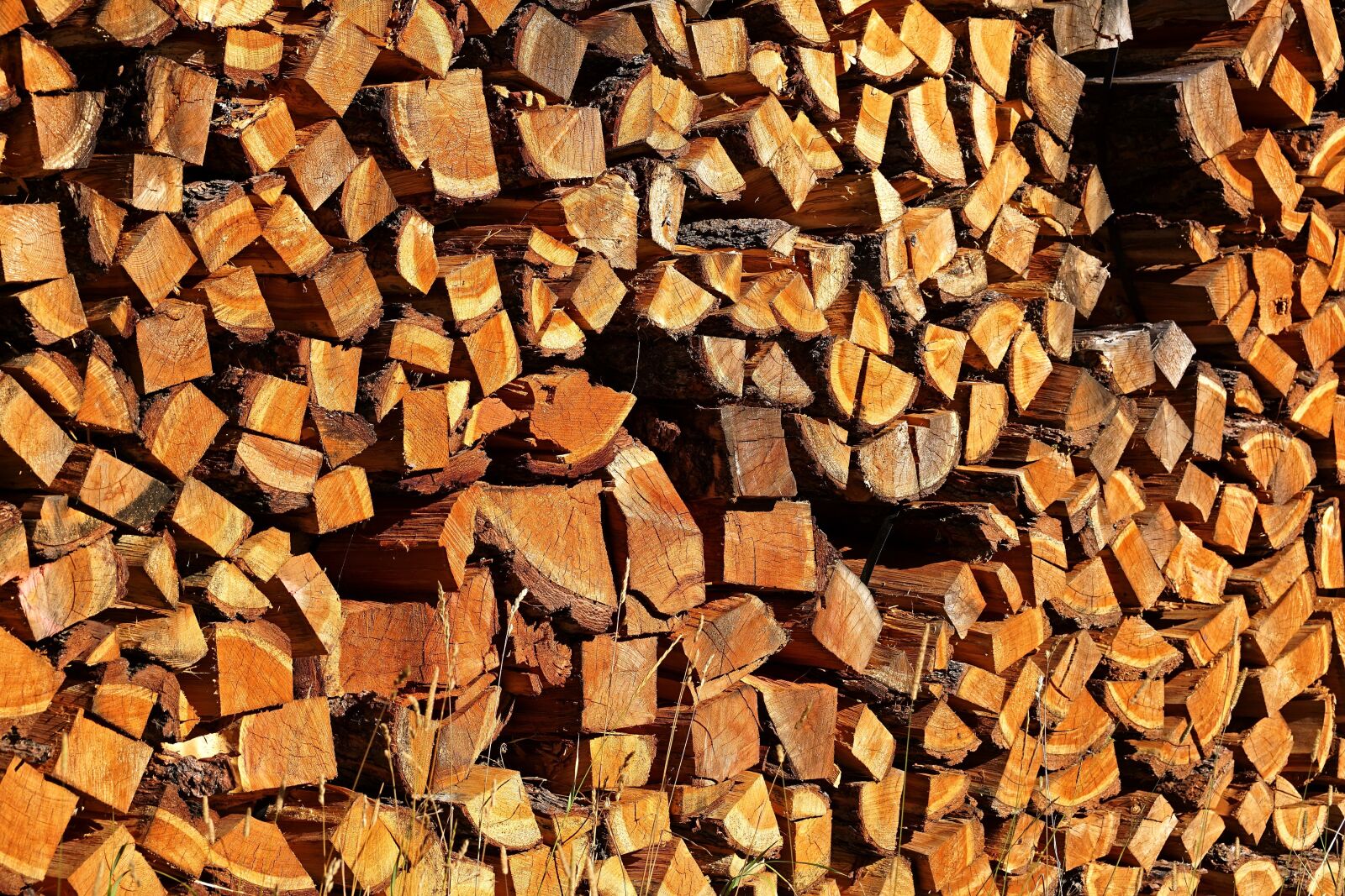 Sony DT 55-300mm F4.5-5.6 SAM sample photo. Holzstapel, firewood, combs thread photography