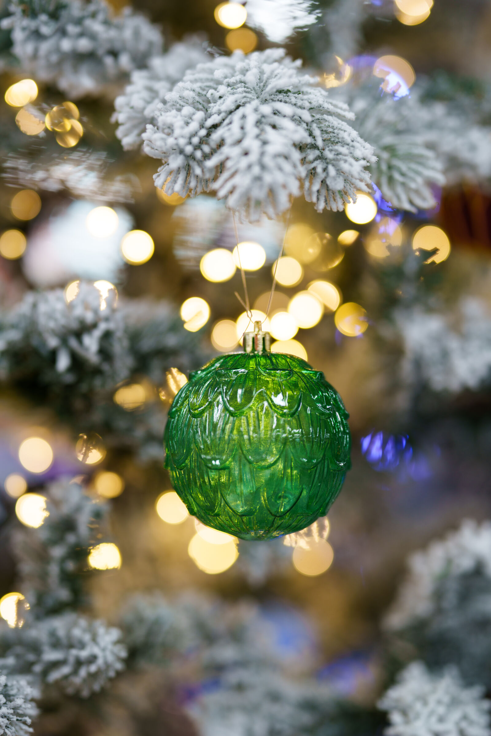 Sony FE 85mm F1.4 GM II sample photo. Season begin photography