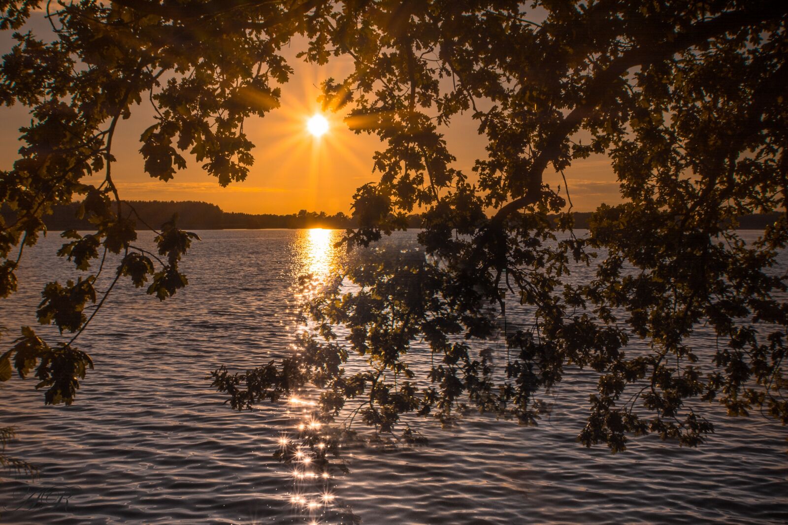 Nikon D5200 sample photo. Nature, tree, reflection photography