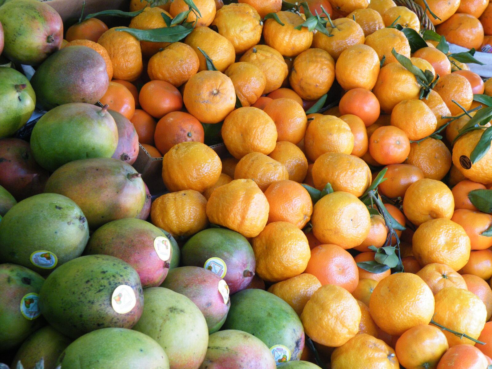 Fujifilm FinePix S8100fd sample photo. Fruit, stall, mango photography