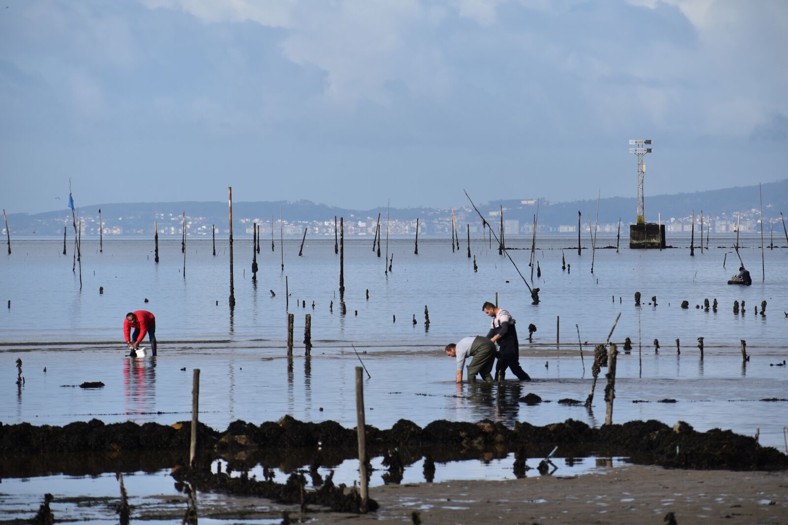 Nikon D5600 sample photo. Shellfishing, rias baixas, clams photography