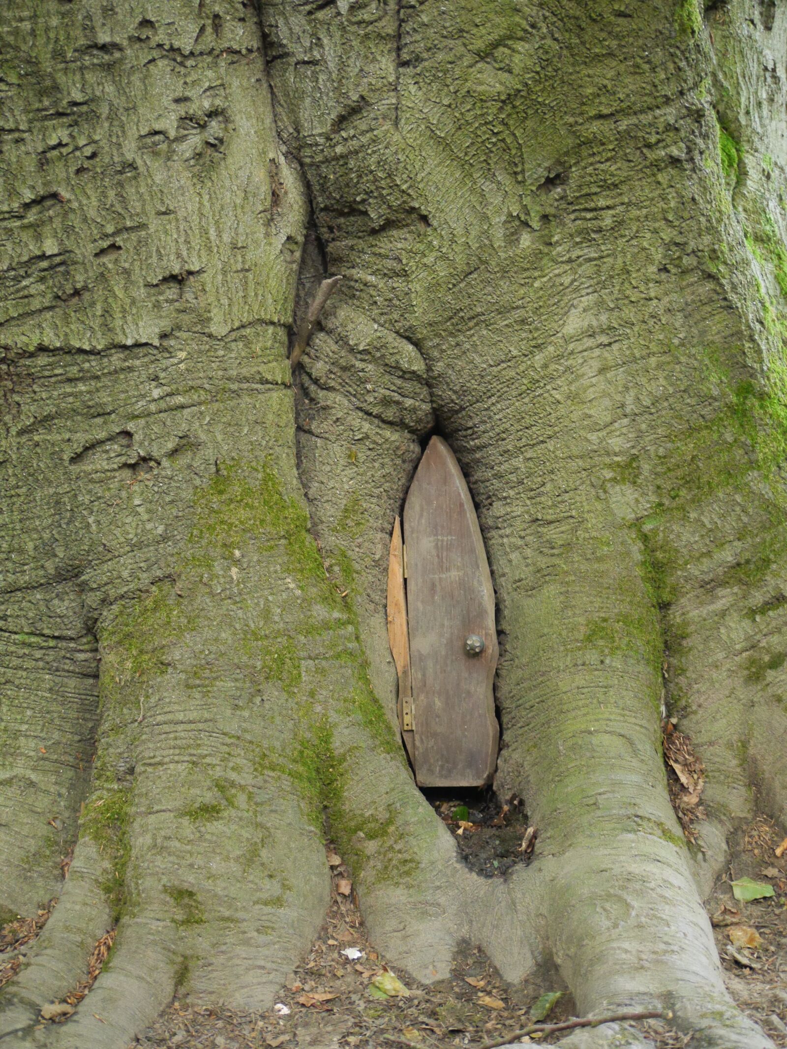 Panasonic Lumix DMC-GH3 sample photo. Door, elf, trunk photography