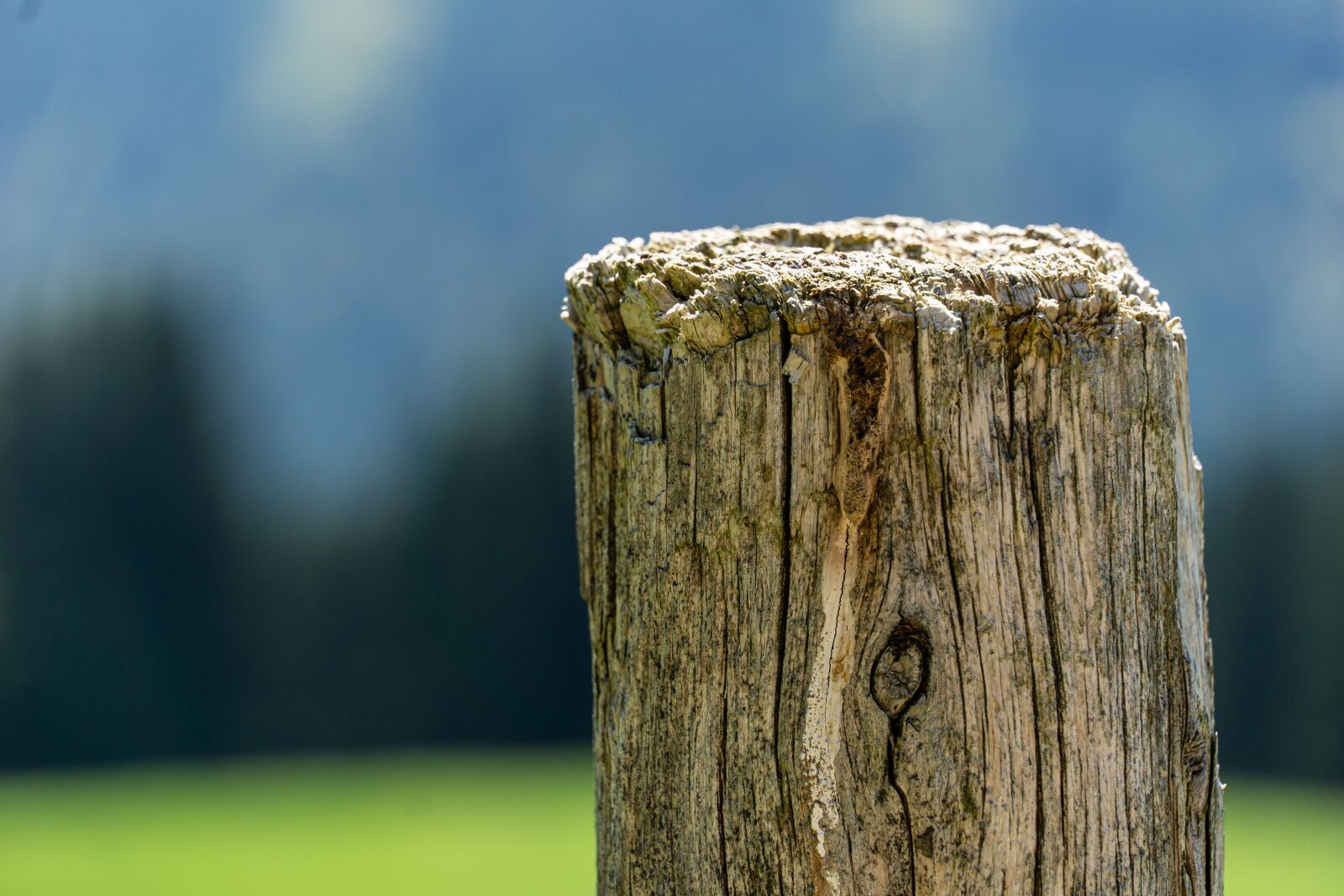 Sony a6000 sample photo. Wood, pile, close up photography