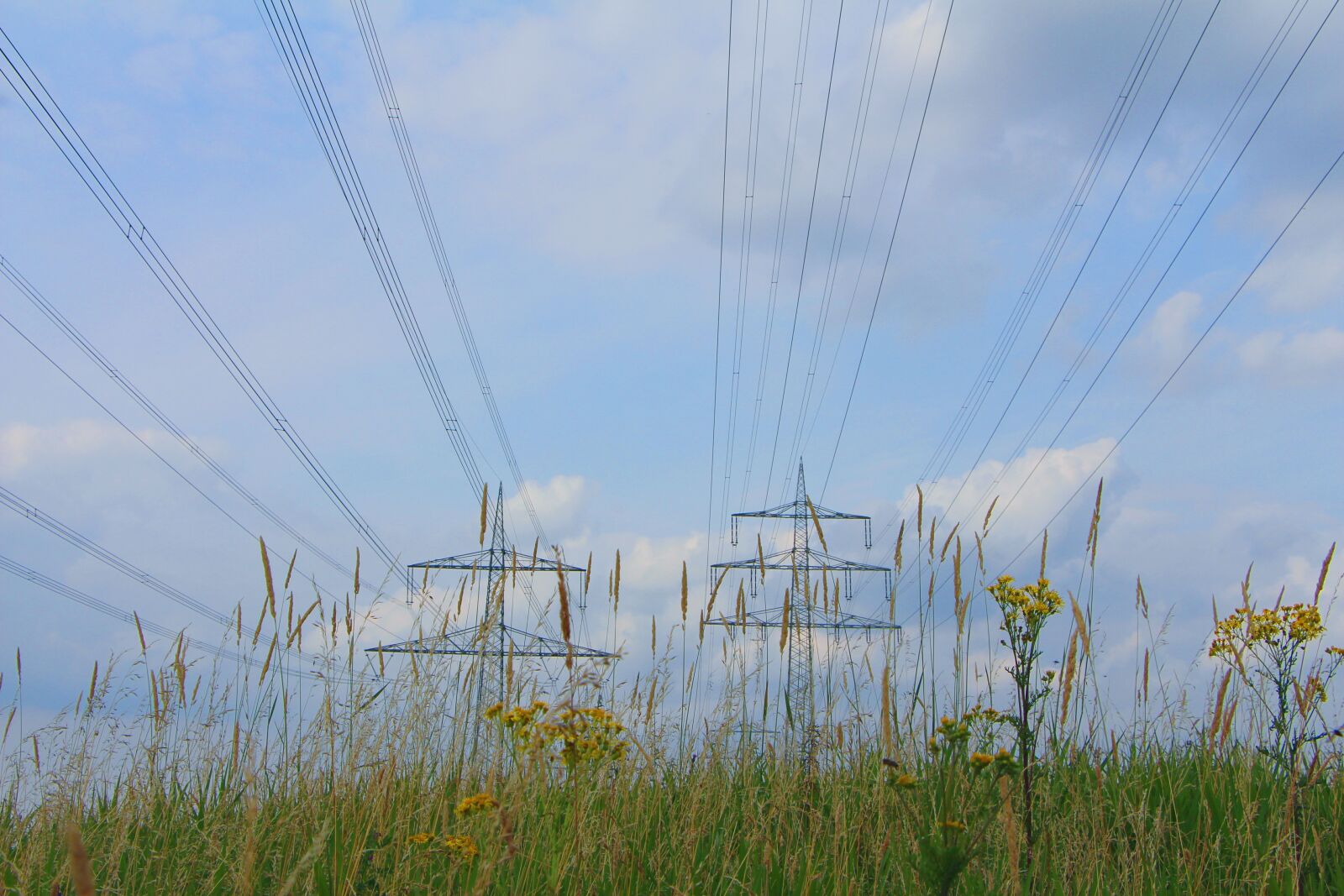 Canon EOS 650D (EOS Rebel T4i / EOS Kiss X6i) sample photo. Nature, ruhr area, field photography