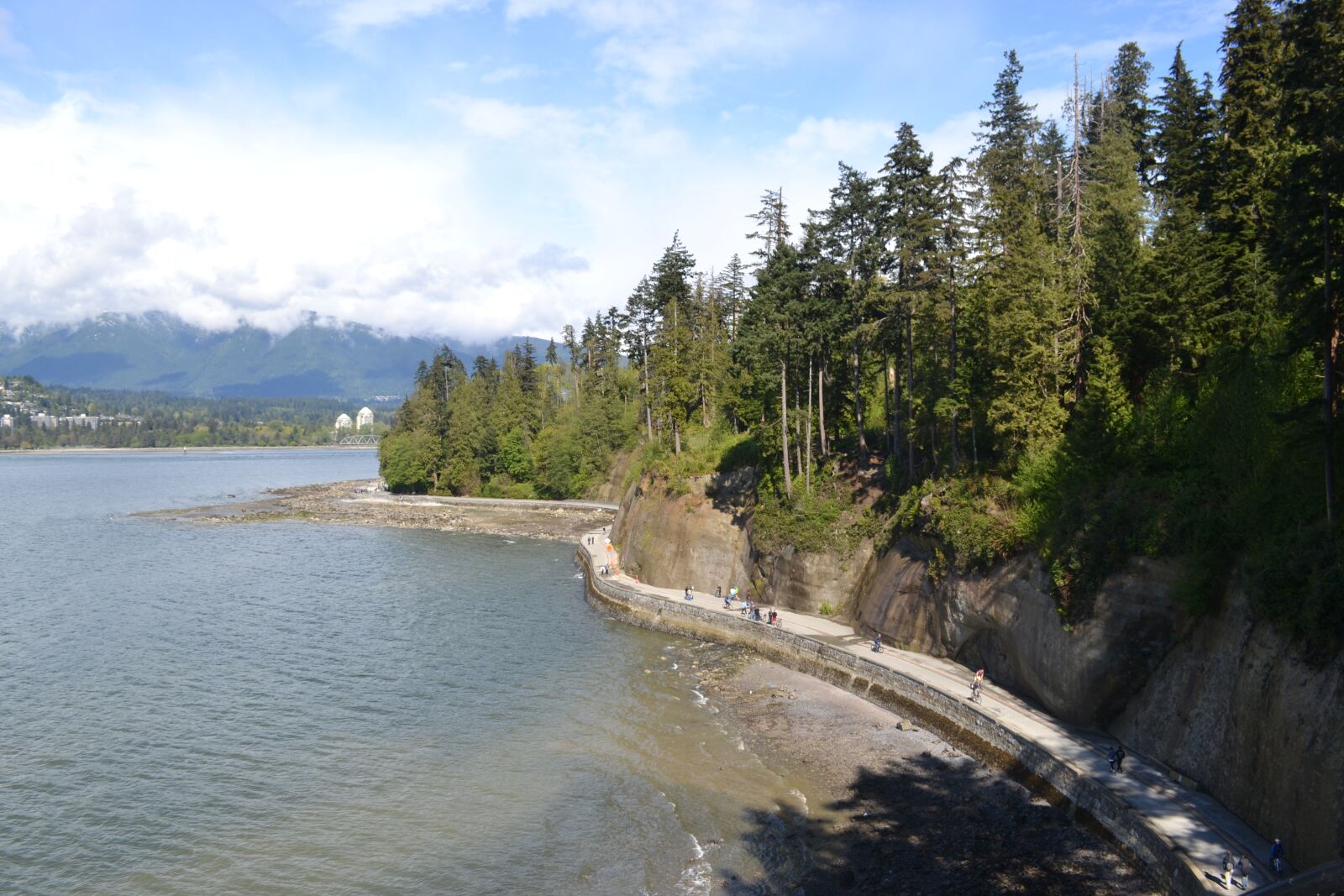 Nikon D3100 sample photo. Canada, stanley park, vancouver photography