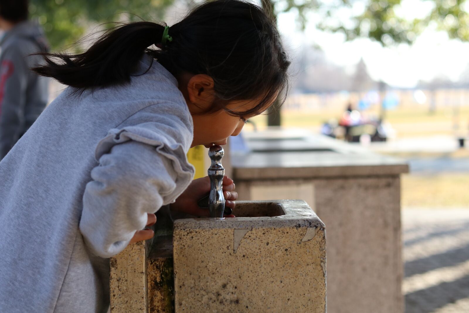 Canon EF 50mm F1.8 STM sample photo. Park, drinking, faucet photography